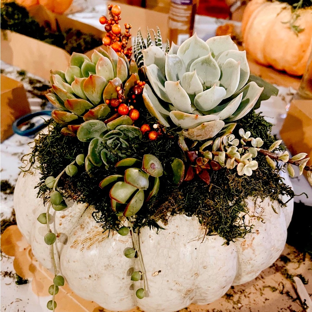 Meet your Posher, Karla